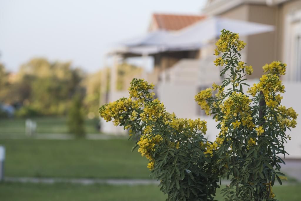 Casa di Varco Frínion Esterno foto